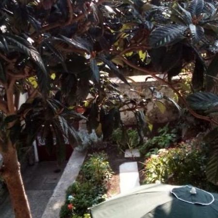 Casa Vacanze Poison Terst Exteriér fotografie