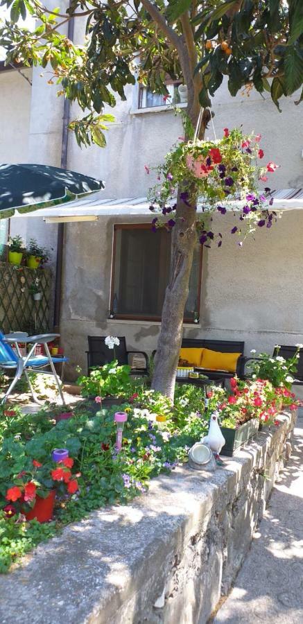 Casa Vacanze Poison Terst Exteriér fotografie