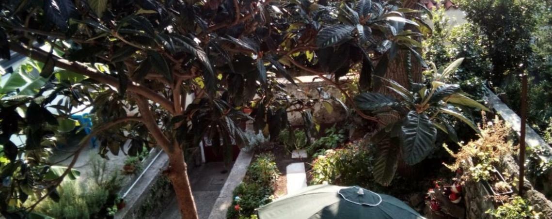 Casa Vacanze Poison Terst Exteriér fotografie